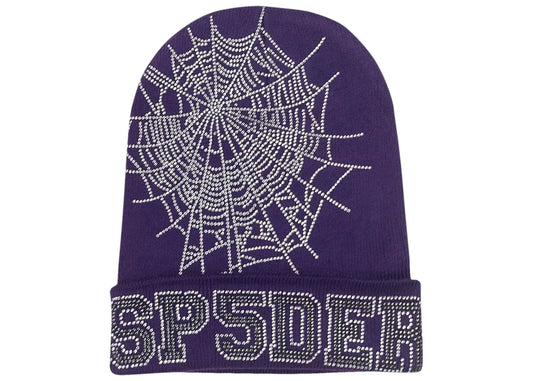 Sp5der Web Beanie Purple