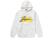 Supreme Embroidered Chenille Hooded Sweatshirt Ash Grey